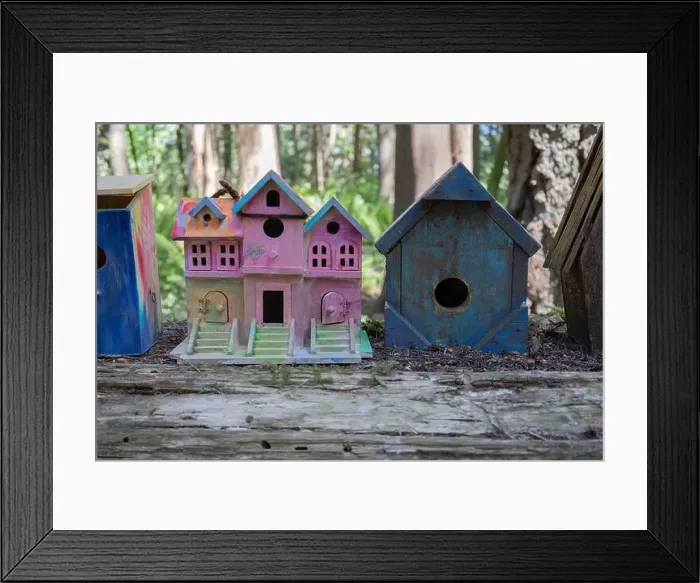 Framed Print : Collection of birdhouses made by children and placed on fallen trees in the forest Framed Print : Collection of birdhouses made by children and placed on fallen trees in the forest