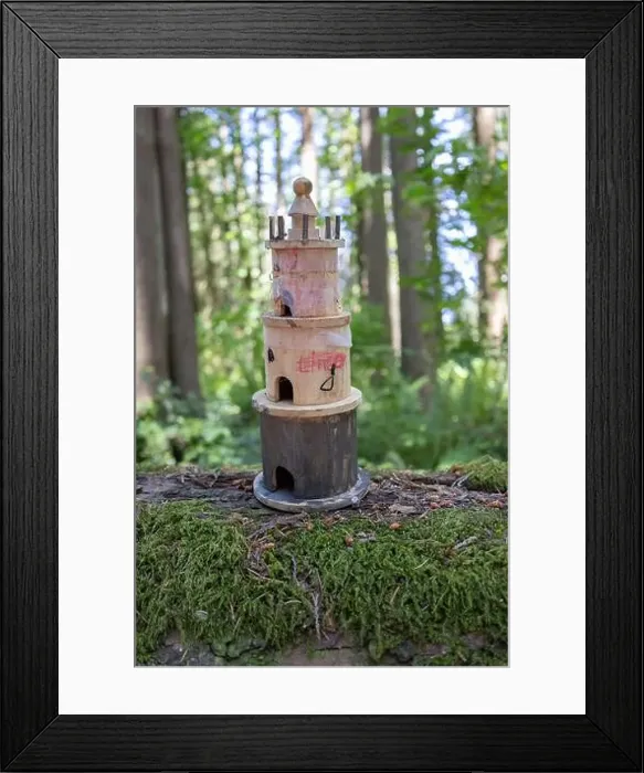 Framed Print : Collection of birdhouses made by children and placed on fallen trees in the forest Framed Print : Collection of birdhouses made by children and placed on fallen trees in the forest