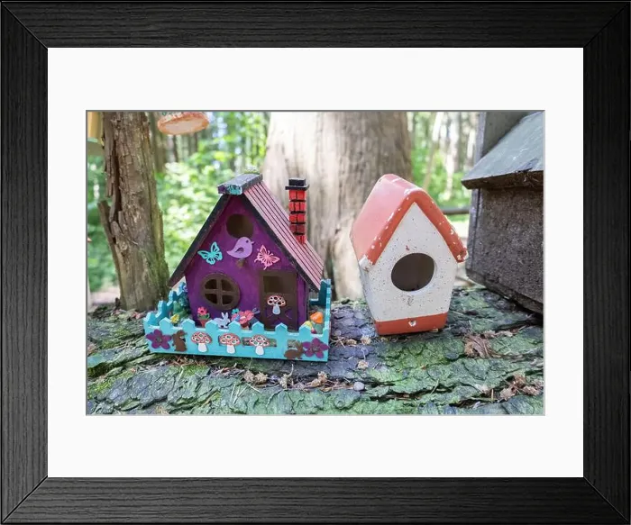 Framed Print : Collection of birdhouses made by children and placed on fallen trees in the forest