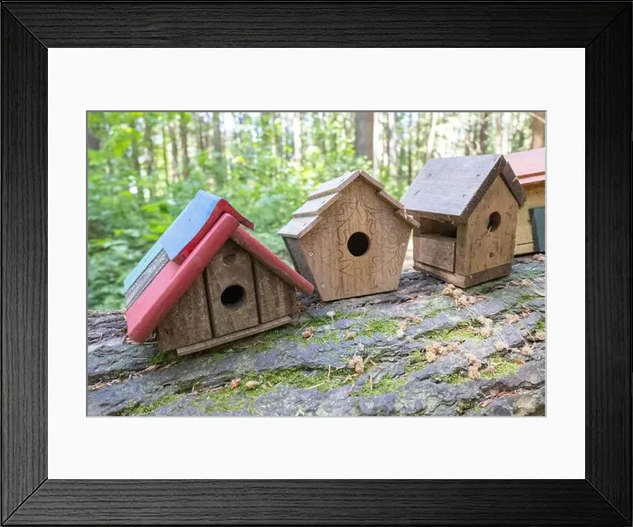 Framed Print : Collection of birdhouses made by children and placed on fallen trees in the forest Framed Print : Collection of birdhouses made by children and placed on fallen trees in the forest