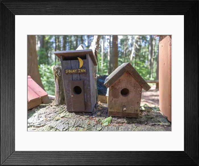 Framed Print : Collection of birdhouses made by children and placed on fallen trees in the forest Framed Print : Collection of birdhouses made by children and placed on fallen trees in the forest