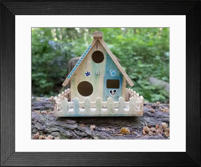 Framed Print : Collection of birdhouses made by children and placed on fallen trees in the forest Framed Print : Collection of birdhouses made by children and placed on fallen trees in the forest