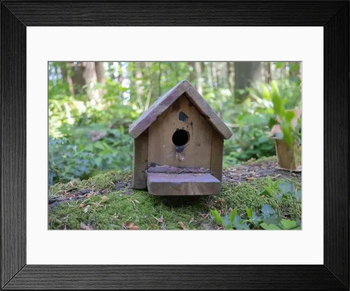 Framed Print : Collection of birdhouses made by children and placed on fallen trees in the forest Framed Print : Collection of birdhouses made by children and placed on fallen trees in the forest