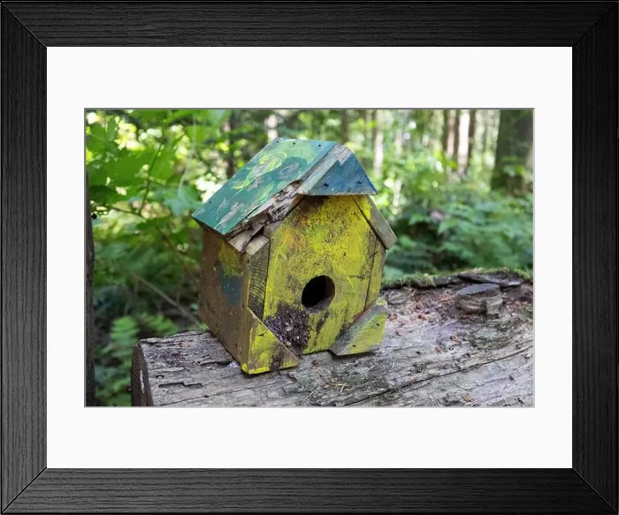 Framed Print : Collection of birdhouses made by children and placed on fallen trees in the forest Framed Print : Collection of birdhouses made by children and placed on fallen trees in the forest