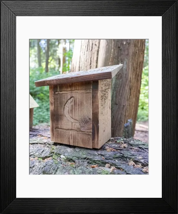 Framed Print : Collection of birdhouses made by children and placed on fallen trees in the forest Framed Print : Collection of birdhouses made by children and placed on fallen trees in the forest