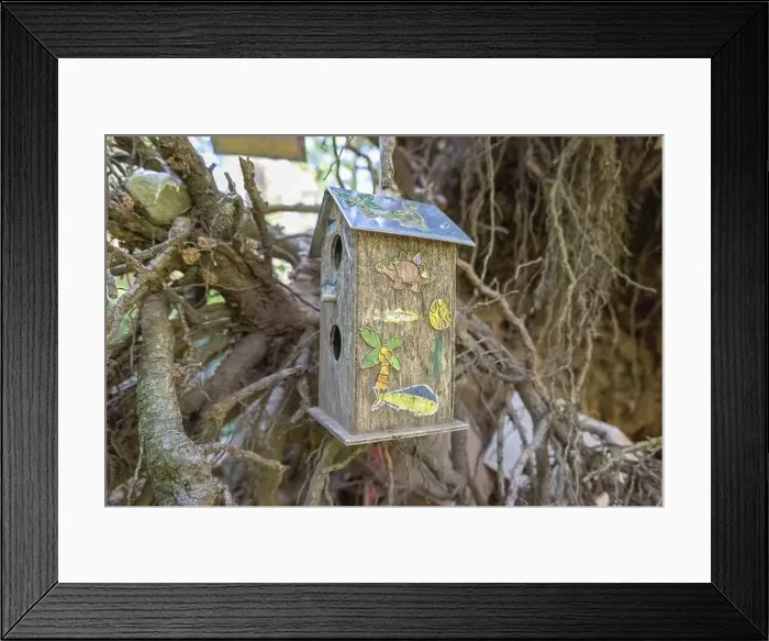 Framed Print : Collection of birdhouses made by children and placed on fallen trees in the forest Framed Print : Collection of birdhouses made by children and placed on fallen trees in the forest