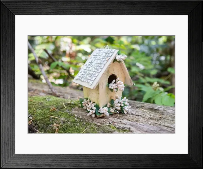 Framed Print : Collection of birdhouses made by children and placed on fallen trees in the forest Framed Print : Collection of birdhouses made by children and placed on fallen trees in the forest