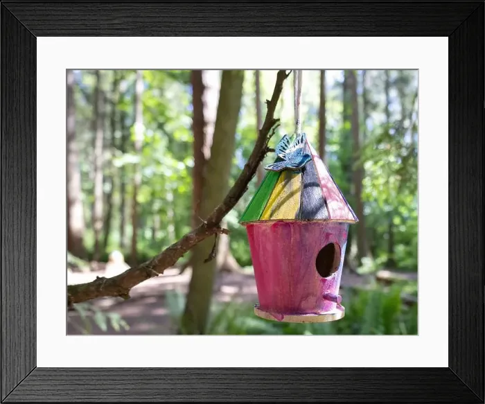 Framed Print : Collection of birdhouses made by children and placed on fallen trees in the forest Framed Print : Collection of birdhouses made by children and placed on fallen trees in the forest