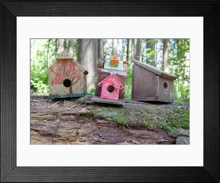 Framed Print : Collection of birdhouses made by children and placed on fallen trees in the forest Framed Print : Collection of birdhouses made by children and placed on fallen trees in the forest