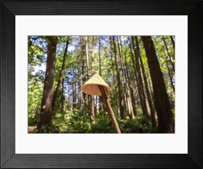Framed Print : Collection of birdhouses made by children and placed on fallen trees in the forest Framed Print : Collection of birdhouses made by children and placed on fallen trees in the forest