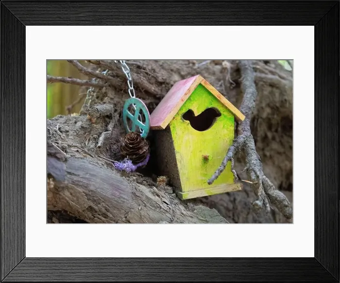 Framed Print : Collection of birdhouses made by children and placed on fallen trees in the forest Framed Print : Collection of birdhouses made by children and placed on fallen trees in the forest