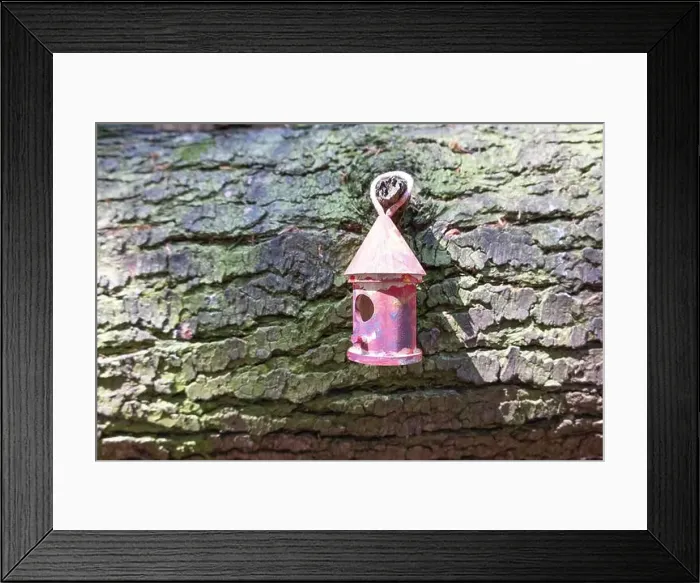 Framed Print : Collection of birdhouses made by children and placed on fallen trees in the forest Framed Print : Collection of birdhouses made by children and placed on fallen trees in the forest