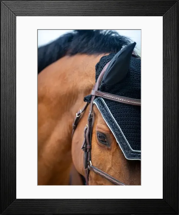 Framed Print : West coast of Canada Framed Print : West coast of Canada