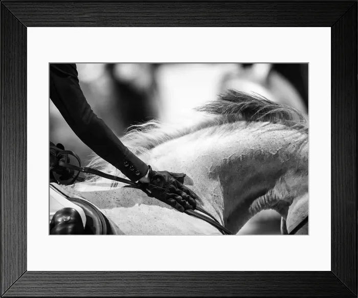 Framed Print : Bordeaux, France - February 2, 2024. Images from Jumping International Bordeaux. Mette Holm / ATLAS MEDIA CANADA Framed Print : Bordeaux, France - February 2, 2024. Images from Jumping International Bordeaux. Mette Holm / ATLAS MEDIA CANADA
