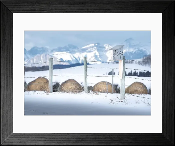 Framed Print : Rocky View County Alberta Canada Framed Print : Rocky View County Alberta Canada