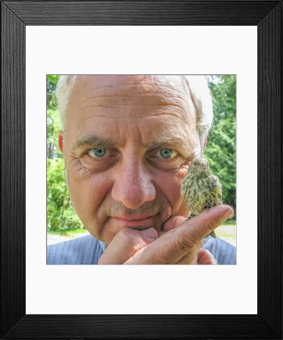 Framed Print : Close-up portrait of a man holding a Sparrow on his finger, British Columbia, Canada