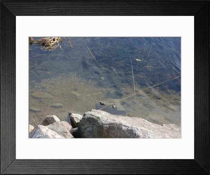 Framed Print : Large stones, brown and gray granite are located on the shore and bottom of the reservoir Framed Print : Large stones, brown and gray granite are located on the shore and bottom of the reservoir