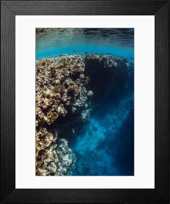 Framed Print : Reef with corals underwater in transparent blue ocean Framed Print : Reef with corals underwater in transparent blue ocean