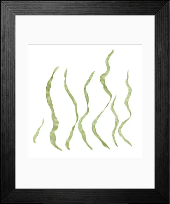 Framed Print : Green seaweed. set with separate leaves and stems Framed Print : Green seaweed. set with separate leaves and stems