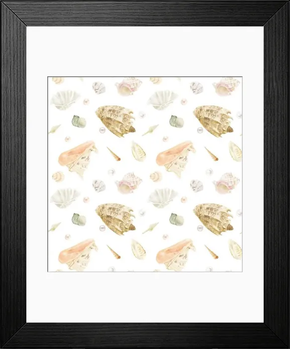 Framed Print : Strombus clam shells, cornuta cassis Framed Print : Strombus clam shells, cornuta cassis