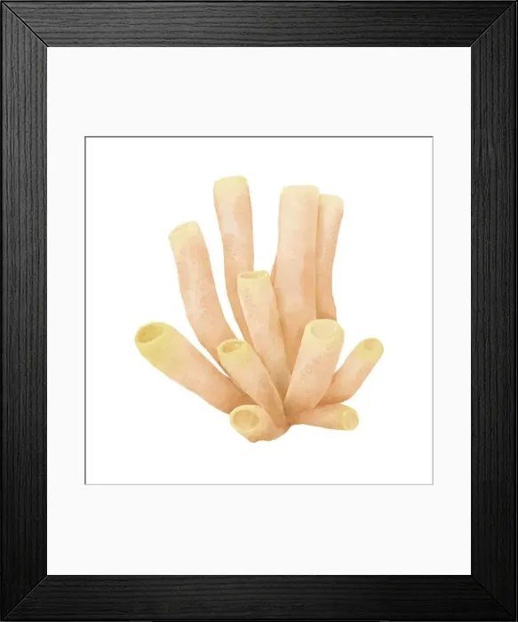 Framed Print : Marine and oceanic tubular corals in beige tones Framed Print : Marine and oceanic tubular corals in beige tones