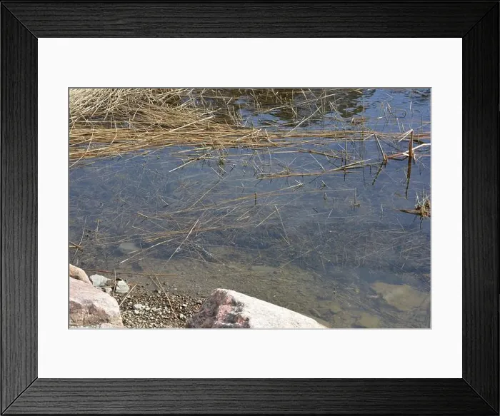 Framed Print : Large stones, brown and gray granite are located on the shore and bottom of the reservoir Framed Print : Large stones, brown and gray granite are located on the shore and bottom of the reservoir