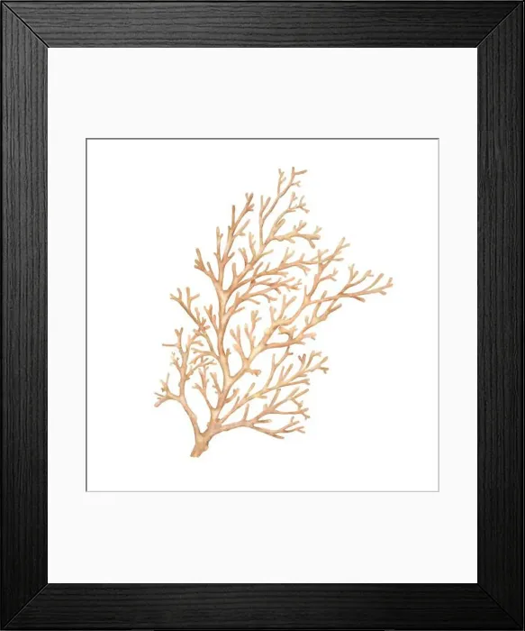 Framed Print : Twigs of red coral, an element of the underwater world and reefs Framed Print : Twigs of red coral, an element of the underwater world and reefs