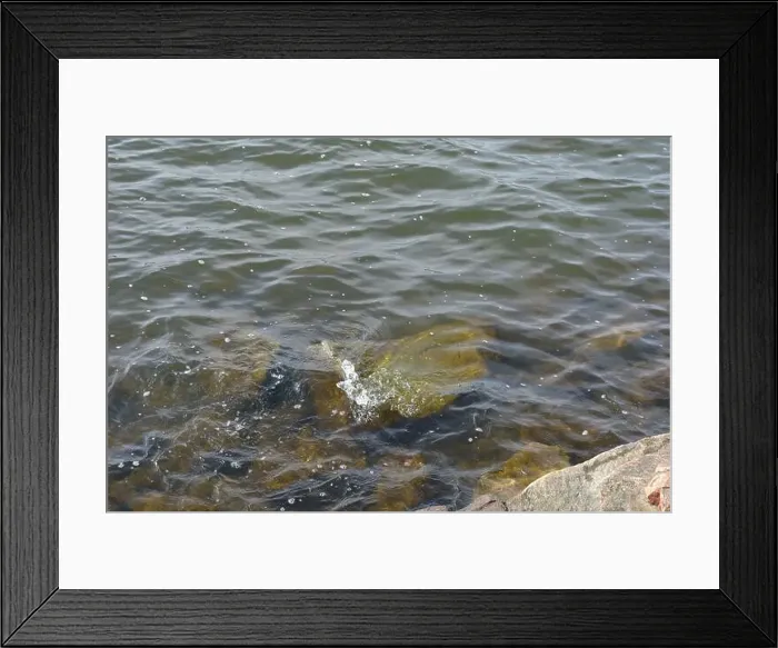 Framed Print : Large stones, brown and gray granite are located on the shore and bottom of the reservoir Framed Print : Large stones, brown and gray granite are located on the shore and bottom of the reservoir
