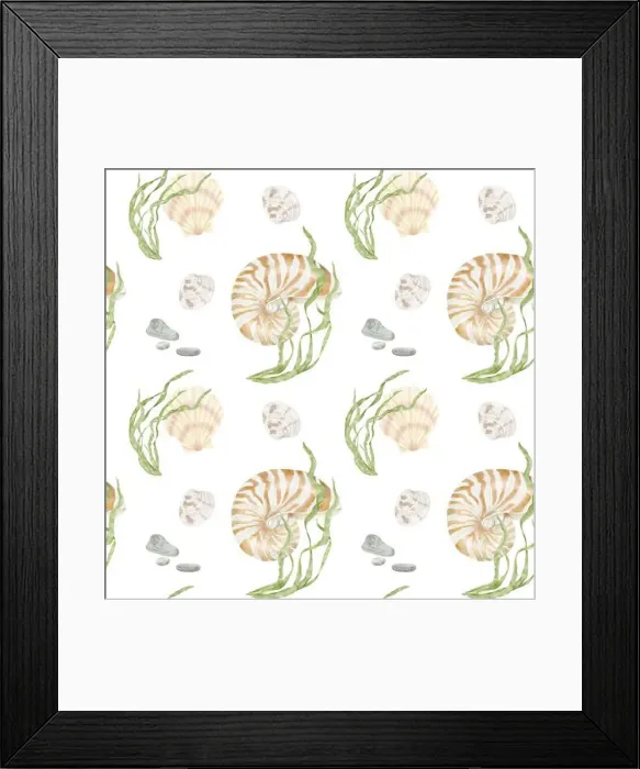Framed Print : Nautilus clam shell and green algae from the underwater world of the ocean Framed Print : Nautilus clam shell and green algae from the underwater world of the ocean