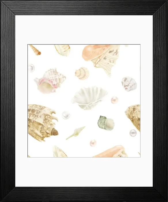 Framed Print : Strombus clam shells, cornuta cassis Framed Print : Strombus clam shells, cornuta cassis