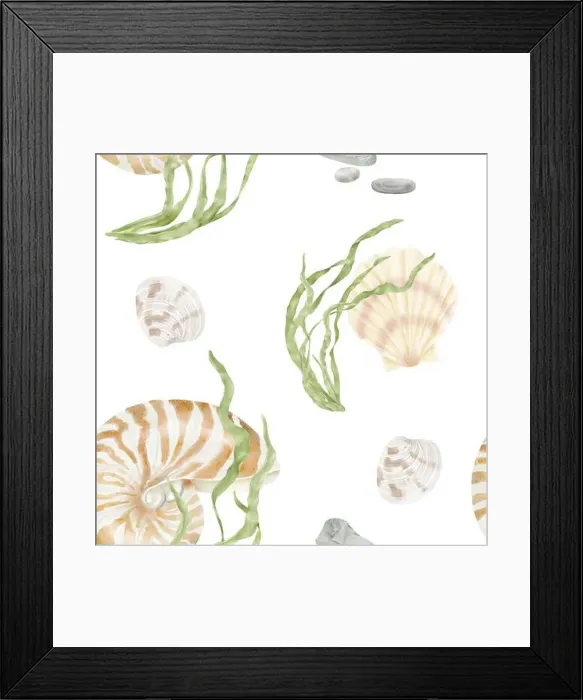 Framed Print : Nautilus clam shell and green algae from the underwater world of the ocean Framed Print : Nautilus clam shell and green algae from the underwater world of the ocean