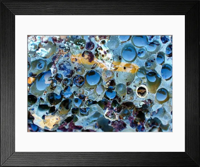 Framed Print : Detailed close-up of marine life and colorful textures in tide pools at Palos Verdes Framed Print : Detailed close-up of marine life and colorful textures in tide pools at Palos Verdes