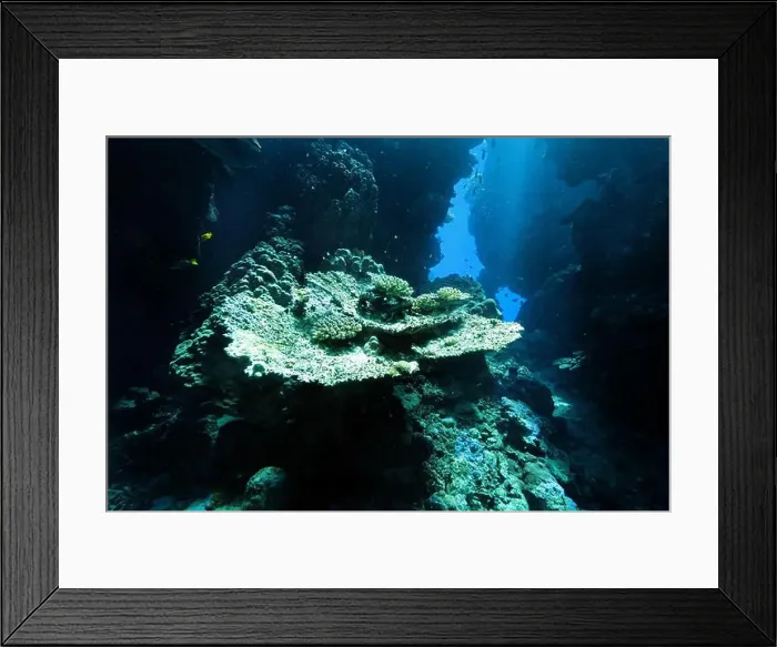 Framed Print : Underwater corridors and caverns near Abu Dabab, Marsa Alam area, underwater photograph, Red Sea, Egypt Framed Print : Underwater corridors and caverns near Abu Dabab, Marsa Alam area, underwater photograph, Red Sea, Egypt
