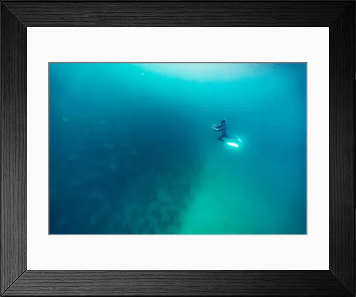 Framed Print : diving underwater with a Huge school of mobulas mobula munkiana in cortez sea ensenada de muertos baja de los sunos Framed Print : diving underwater with a Huge school of mobulas mobula munkiana in cortez sea ensenada de muertos baja de los sunos