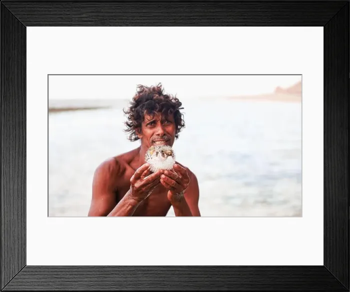 Framed Print : A fisherman proudly displays a puffer fish near the water on Socotra island Framed Print : A fisherman proudly displays a puffer fish near the water on Socotra island
