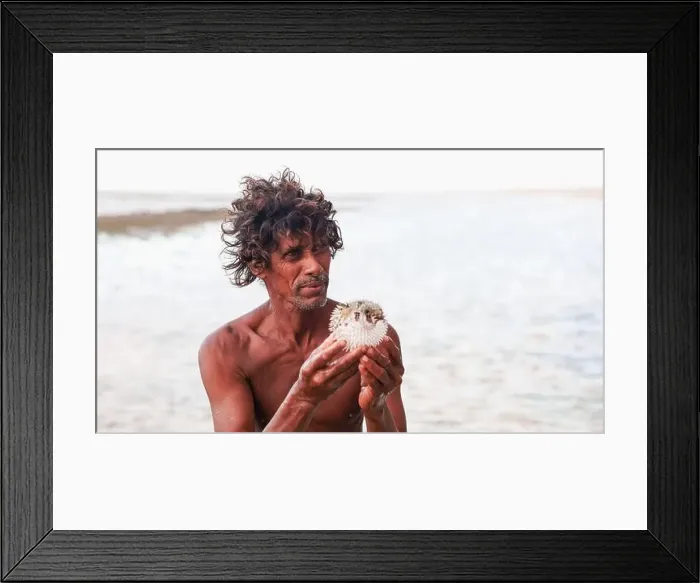 Framed Print : A man shows a pufferfish he has caught along the shores of Socotra, highlighting the rich marine biodiversity Framed Print : A man shows a pufferfish he has caught along the shores of Socotra, highlighting the rich marine biodiversity
