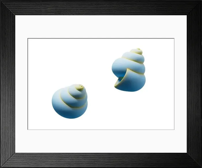 Framed Print : Spiral shell underwater with cartoon style, 3d rendering. 3D illustration Framed Print : Spiral shell underwater with cartoon style, 3d rendering. 3D illustration