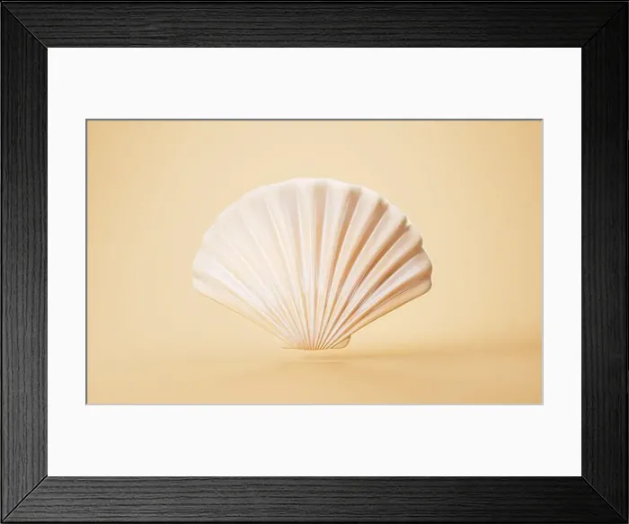 Framed Print : Scallop shell with cartoon style, 3d rendering. 3D illustration Framed Print : Scallop shell with cartoon style, 3d rendering. 3D illustration