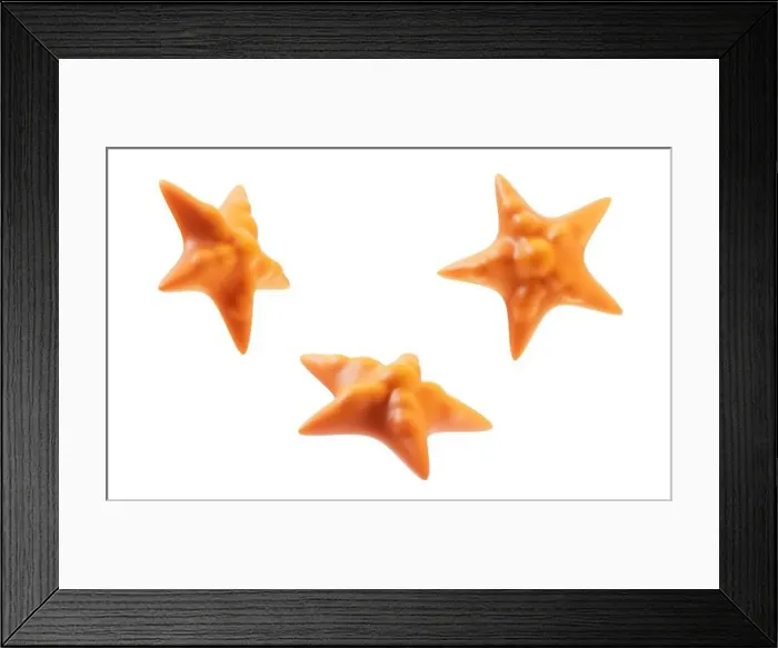 Framed Print : Orange starfish with cartoon style, 3d rendering. 3D illustration Framed Print : Orange starfish with cartoon style, 3d rendering. 3D illustration