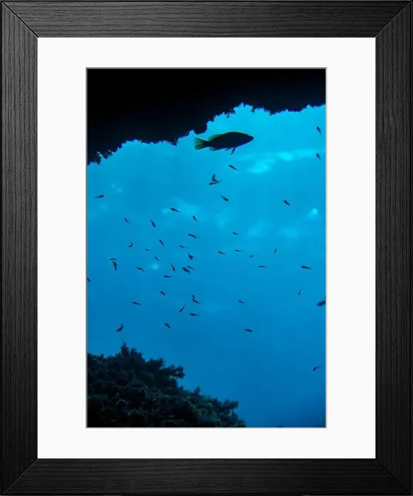 Framed Print : A serene underwater scene captured off the coast of Menorca Framed Print : A serene underwater scene captured off the coast of Menorca