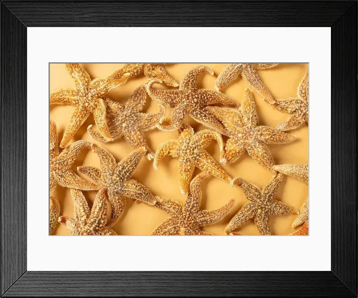 Framed Print : top view Chinese medicine starfish or Asteroidea horizontal composition Framed Print : top view Chinese medicine starfish or Asteroidea horizontal composition