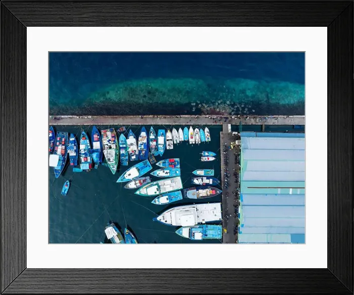 Framed Print : Stingray watching point in Malé city, maldives islands. Next to the port and fish market Framed Print : Stingray watching point in Malé city, maldives islands. Next to the port and fish market