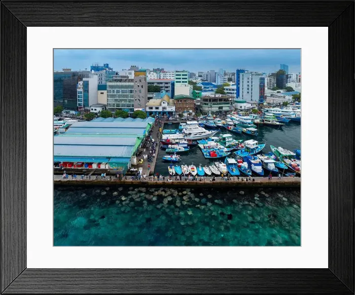 Framed Print : Stingray watching point in Malé city, maldives islands. Next to the port and fish market Framed Print : Stingray watching point in Malé city, maldives islands. Next to the port and fish market