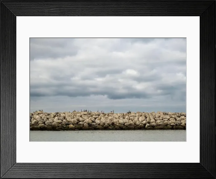 Framed Print : Birds Sit On The Ventura Harbor Jetty On Cloudy Day along the California coast Framed Print : Birds Sit On The Ventura Harbor Jetty On Cloudy Day along the California coast
