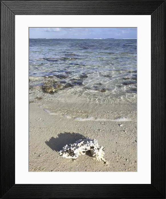 Framed Print : Crystal clear water and coral branches on the beach Framed Print : Crystal clear water and coral branches on the beach