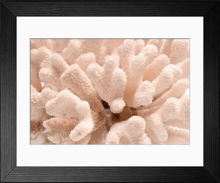 Framed Print : Coral in shade of mocha mousse, closeup view. Color of 2025 year Framed Print : Coral in shade of mocha mousse, closeup view. Color of 2025 year