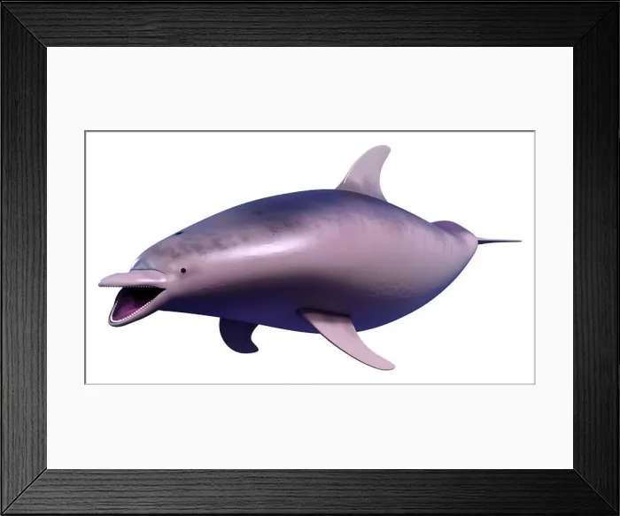 Framed Print : 3D rendering of a dolphin isolated on white background Framed Print : 3D rendering of a dolphin isolated on white background