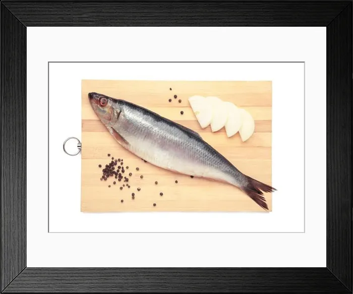 Framed Print : Fresh herring fish isolated on white background. Top view Framed Print : Fresh herring fish isolated on white background. Top view