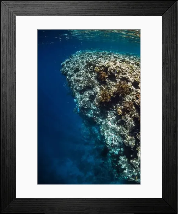 Framed Print : Reef with corals underwater in transparent blue ocean Framed Print : Reef with corals underwater in transparent blue ocean