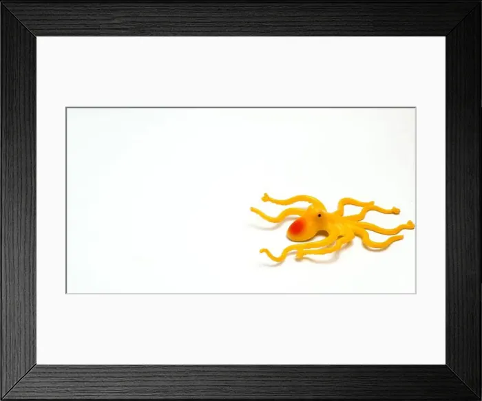 Framed Print : A Yellow Octopus Shaped Children's Toy With Isolated White Background And With Composition Leaving Space On The Left Framed Print : A Yellow Octopus Shaped Children's Toy With Isolated White Background And With Composition Leaving Space On The Left